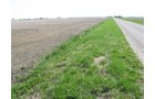 Property photo 30 - 172 Acres Offered in 3 Tracts - Prime Farmland